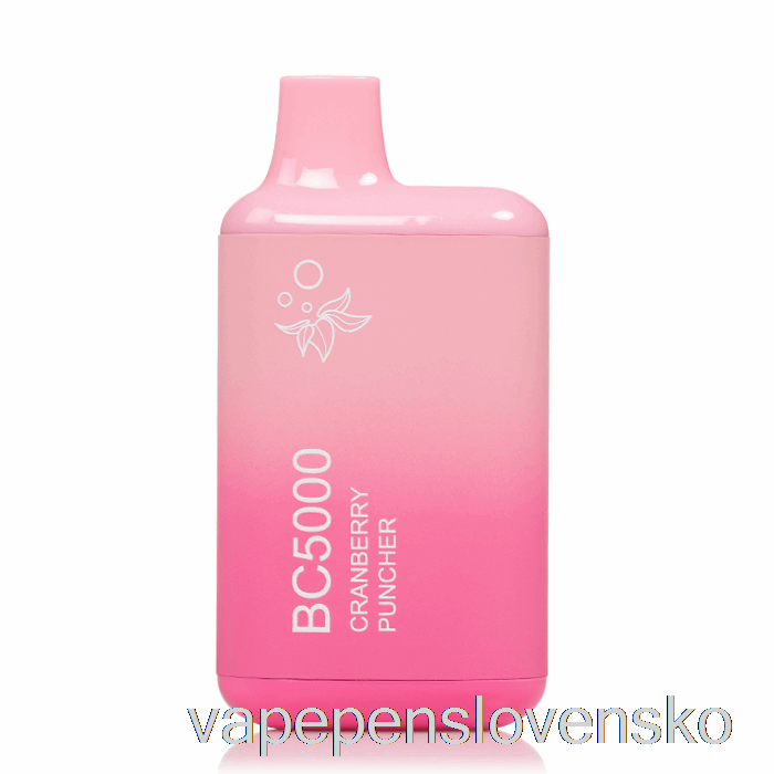 Bc5000 Jednorazová Cranberry Punch Vape Cigareta